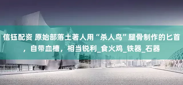 信钰配资 原始部落土著人用“杀人鸟”腿骨制作的匕首，自带血槽，相当锐利_食火鸡_铁器_石器