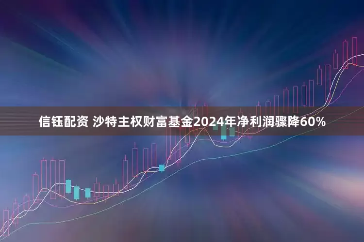信钰配资 沙特主权财富基金2024年净利润骤降60%