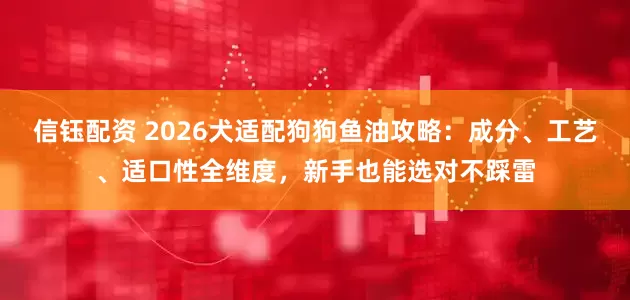 信钰配资 2026犬适配狗狗鱼油攻略：成分、工艺、适口性全维度，新手也能选对不踩雷